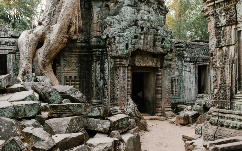 Ta Prohm Temple, where ancient trees intertwine with centuries-old ruins, creating an enchanting scene