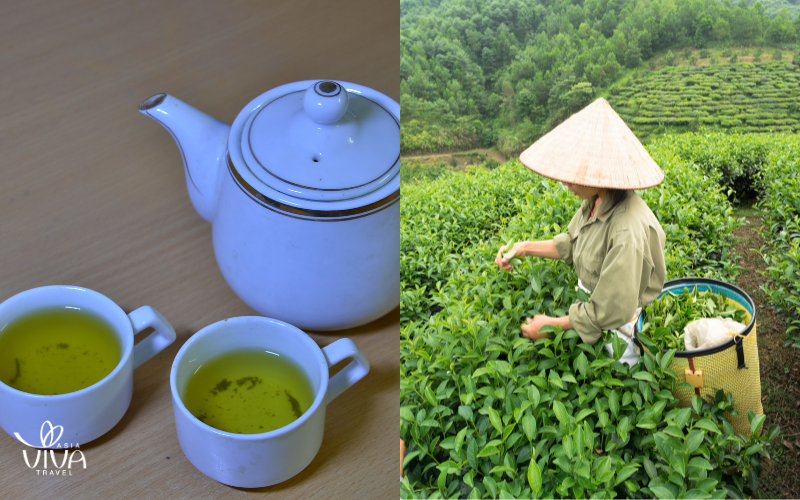 Tra (Tè)_ Rituali di Purezza e Benessere