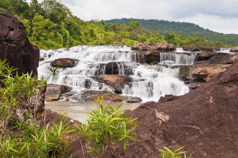 How to Visit The Cardamom Mountains
