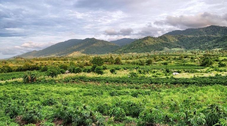 How Long Should I Spend in the Cardamom Mountains?