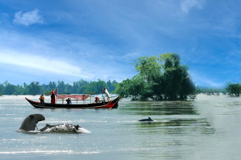 Best Time to Visit Kratie