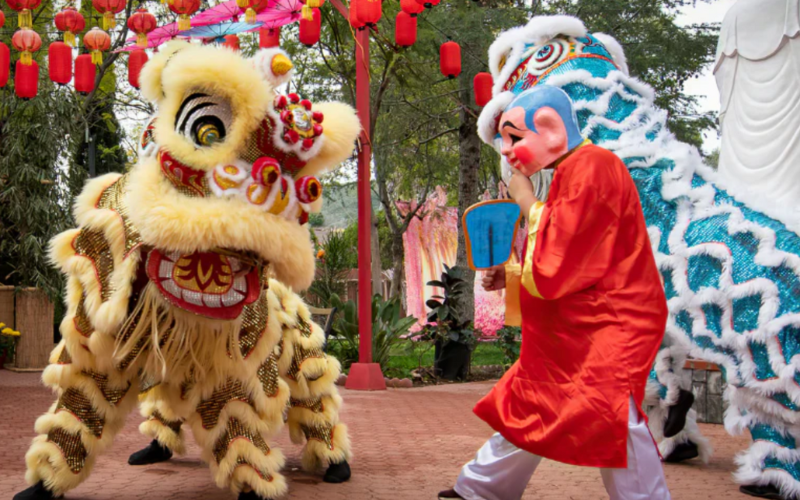 Danse du lion au Vietnam