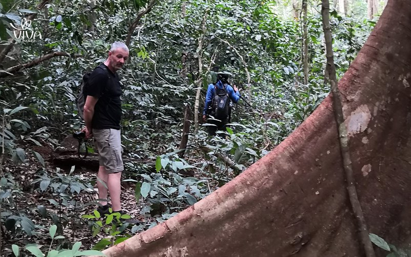 Explore the biodiversity of Seima Protected Forest