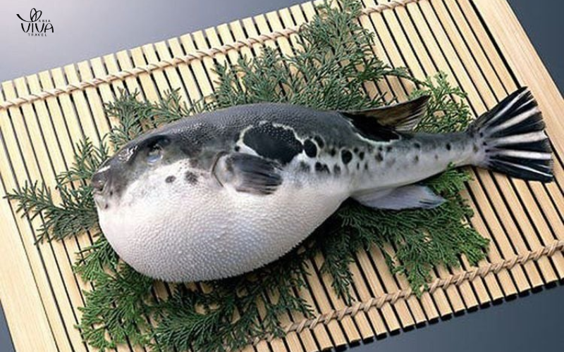 Il pesce palla