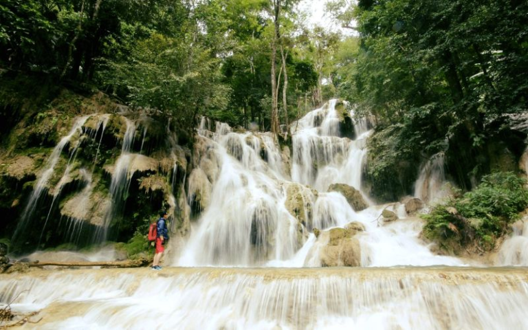 Dans ces deux sites, vous pouvez baigner, pique-niquer ou trek dans la jungle