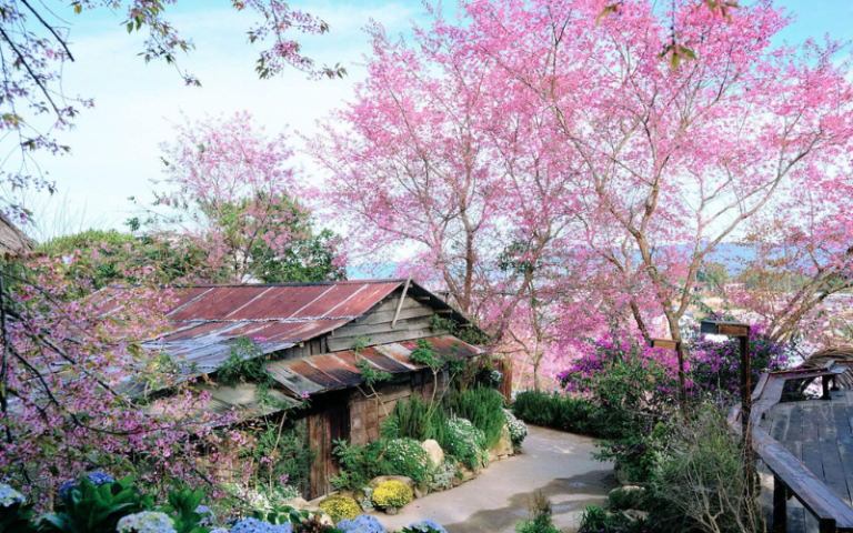 Dalat in primavera