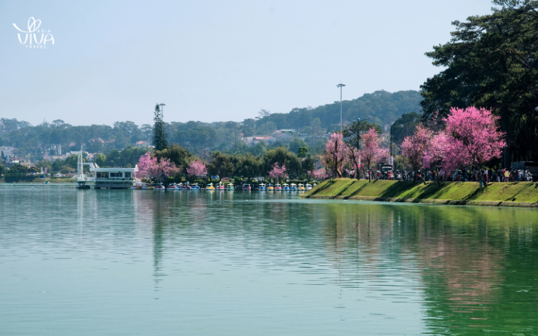 Lago Xuan Huong_ il cuore tranquillo di Da Lat
