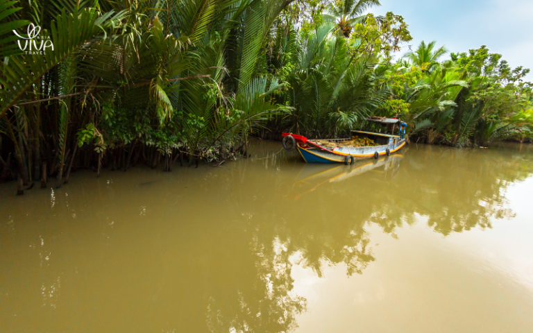 Scopri Ben Tre_ Il Cuore Nascosto del Delta del Mekong