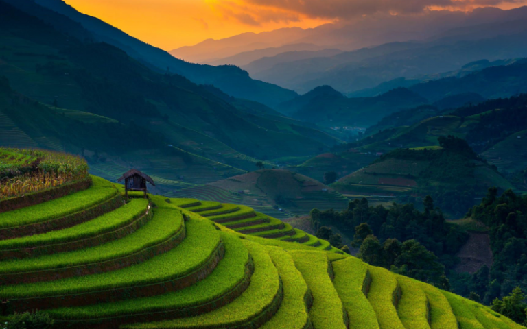 Rizières en terrasses à Mu Cang Chai au mois d'avril