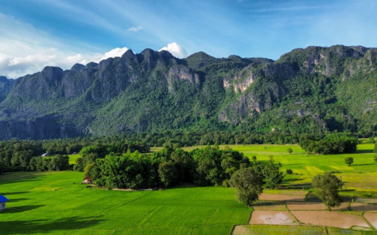  Les forêts tropicales denses regorgent d'une biodiversité impressionnante, abritant une variété d'espèces végétales et animales à Thakkek