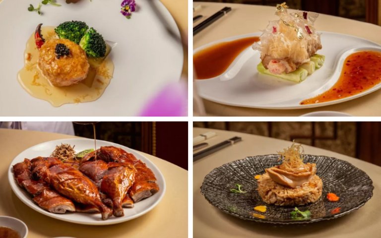 quelques plats à la fois attrayants et raffinés que vous pourriez trouver au restaurant 
