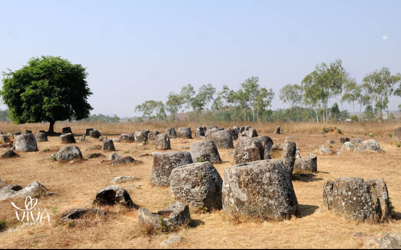 Best Time to Visit Plain of Jars Laos