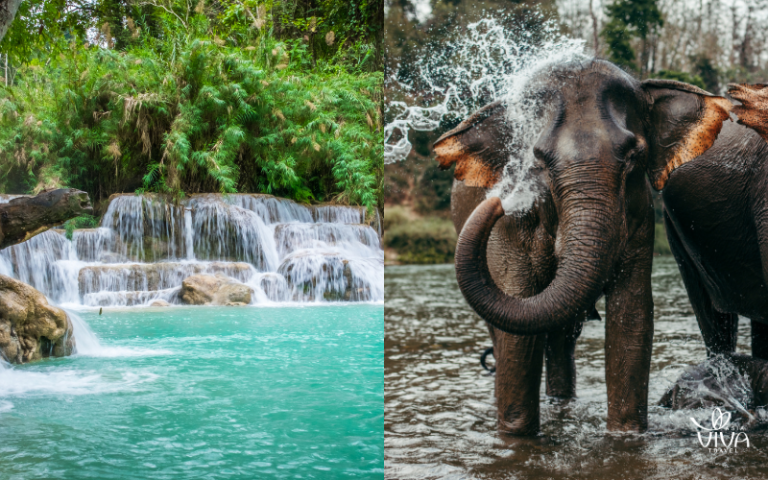 Breathtaking Views of Laos
