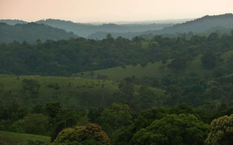 Natura selvaggia_ trekking tra cascate ed elefanti a Mondulkiri