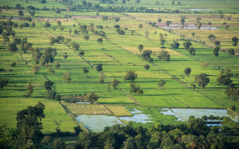 Vaste paysage de campagne de Battambang