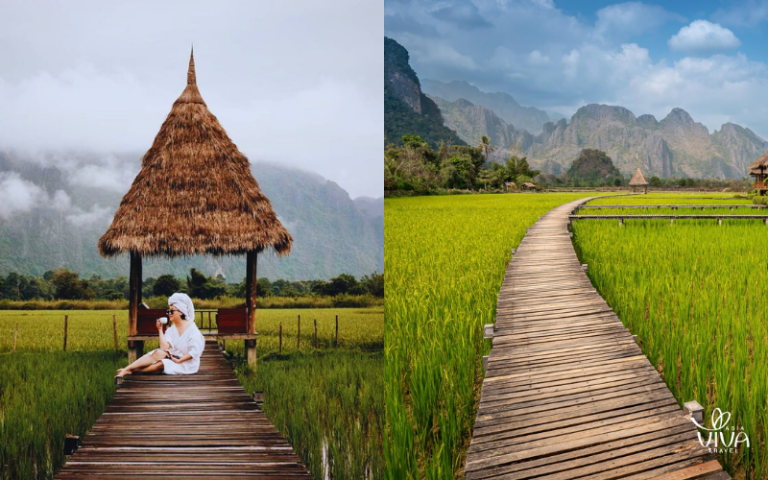 Vang Vieng's lush rice fields at sunset provide an idyllic escape into nature