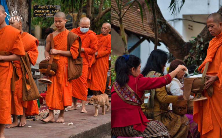 Tak Bat a Luang Prabang_ spiritualità pura all’alba