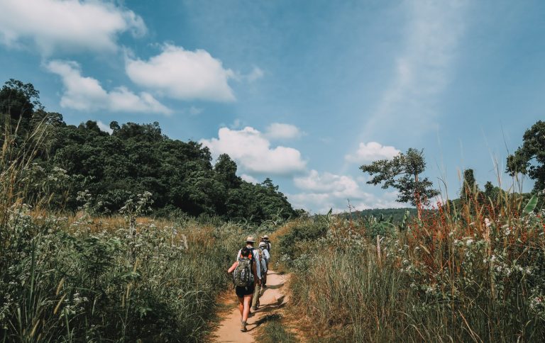 Battambang to Cardamom Mountains