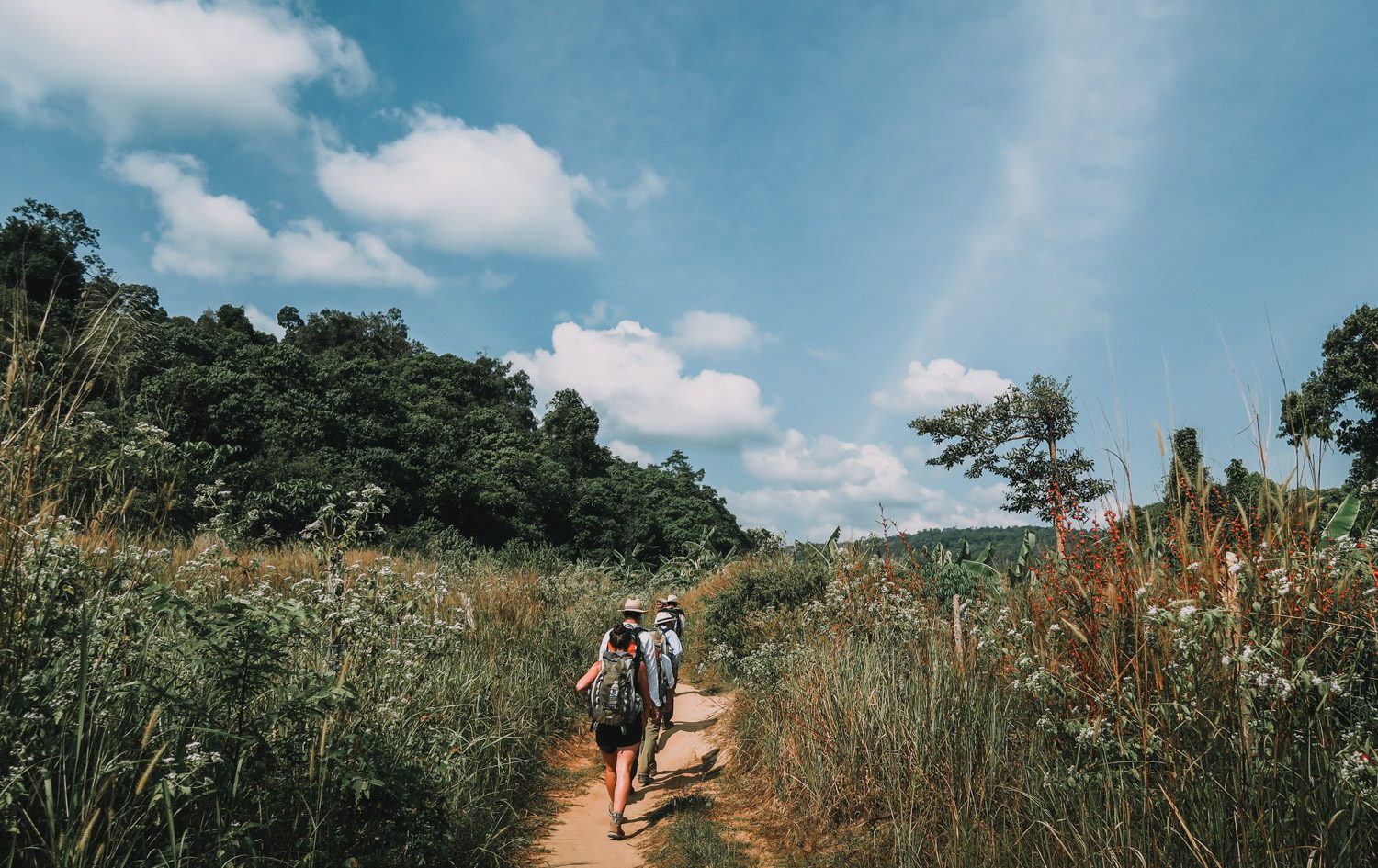 Battambang to Cardamom Mountains