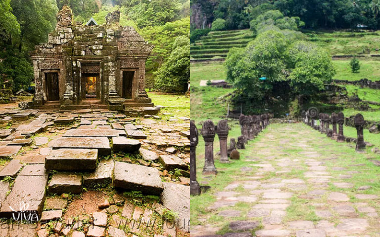 A quiet path through history, beneath sacred shade