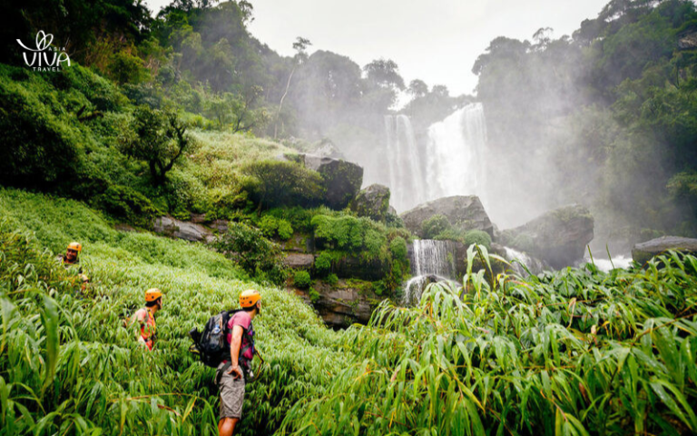 Bolaven Plateau – where coffee tells its story
