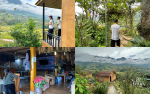 Hmong House