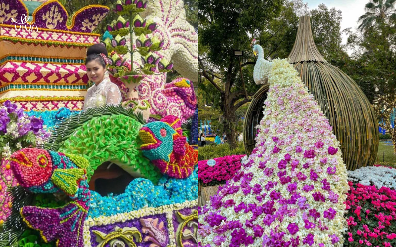 Fiori in festa per le strade di Chiang Mai.