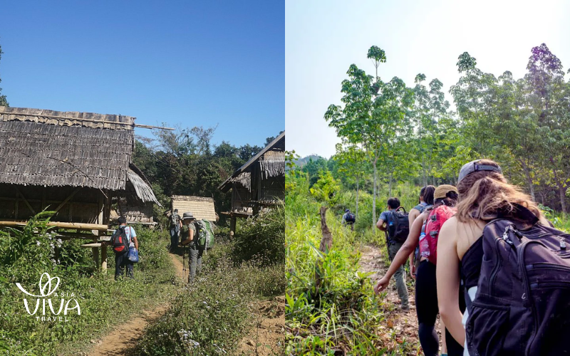 Step into the wild – Explore with purpose and respect