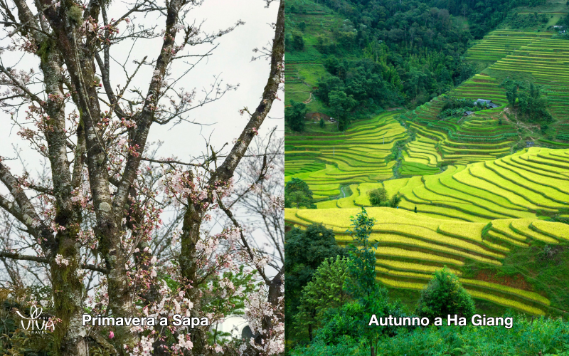 Primavera a Sapa - Autunno a Ha Giang