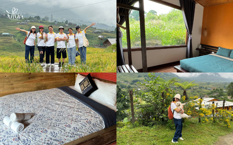 Stay close to nature in cozy mountain-view homestays