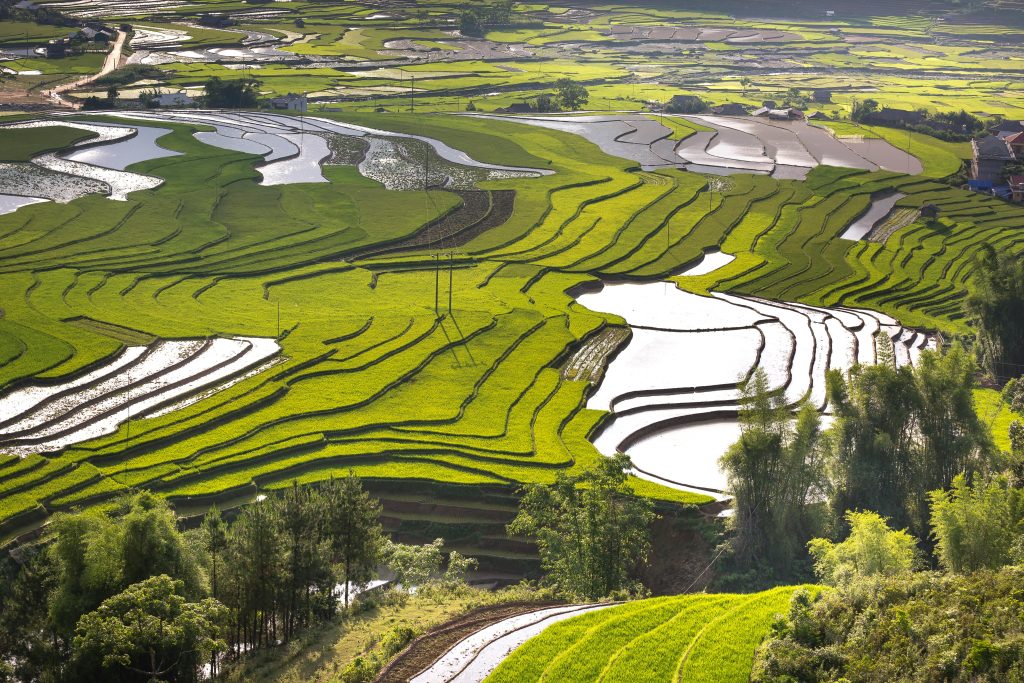 Vietnam tour package