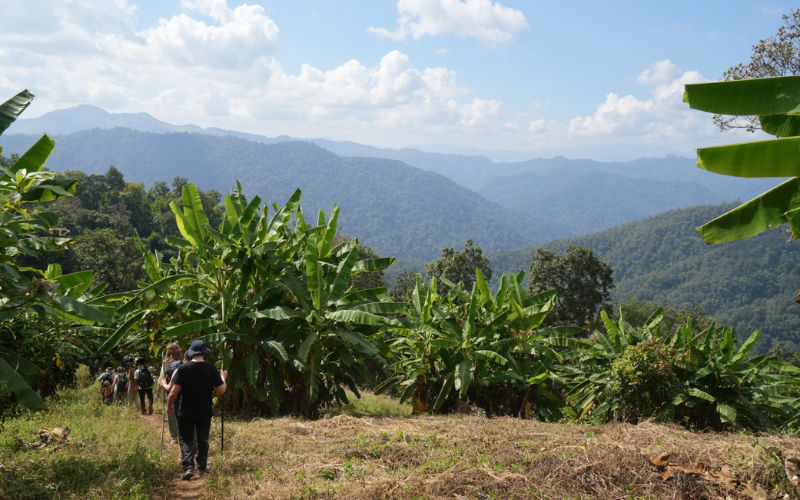 chiang mai trekking