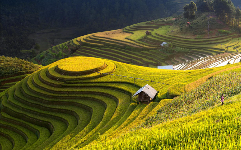colline-mam-xoi 