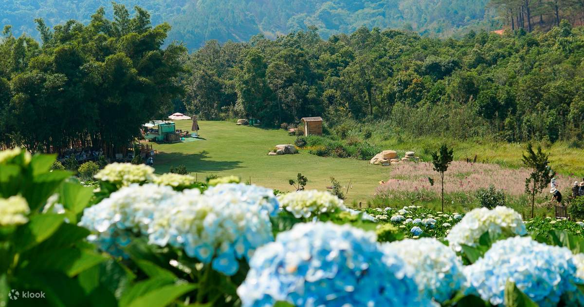 Dalat city