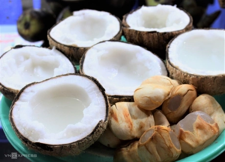 Dừa Sáp (Wax Coconut)