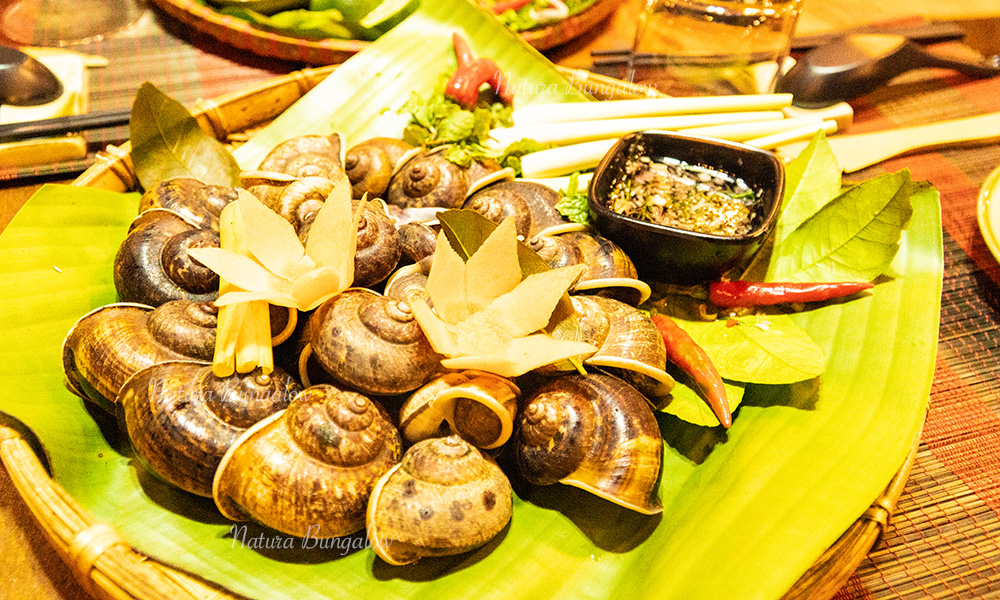 Mountain Snail Pu Luong