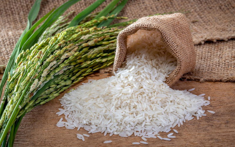 cuisine vietnamienne a base de riz