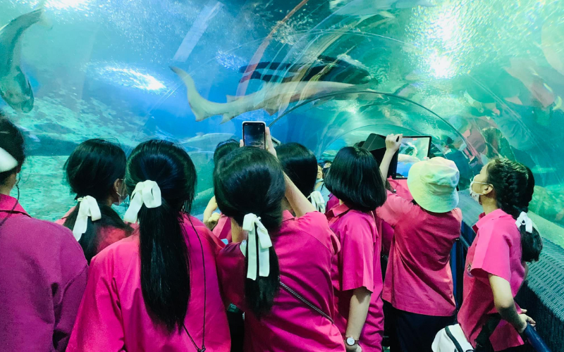Aquarium Underwater World Pattaya Thaïlande
