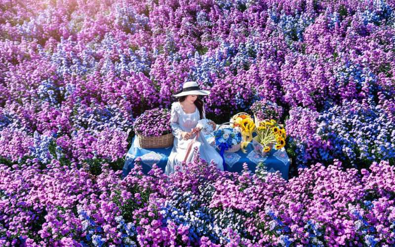 Jardin fleuri du Festival des Fleurs de Chiang Rai en hiver