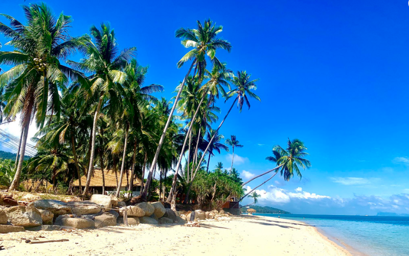 Vue aérienne de Koh Samui, île paradisiaque en Thaïlande