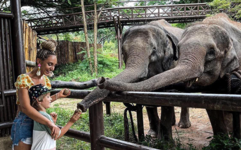 Sanctuaire des éléphants à Koh Samui