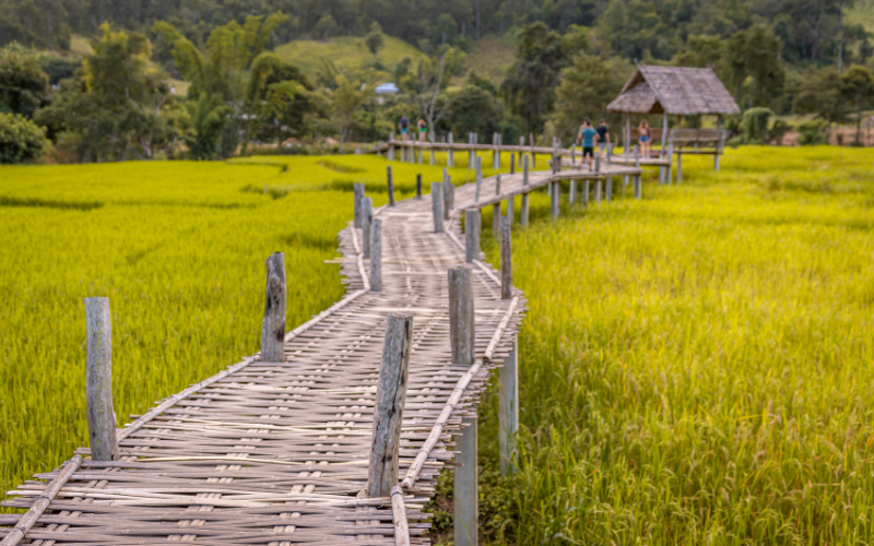 Bamboo Bridge Pai Thaïlande rizières