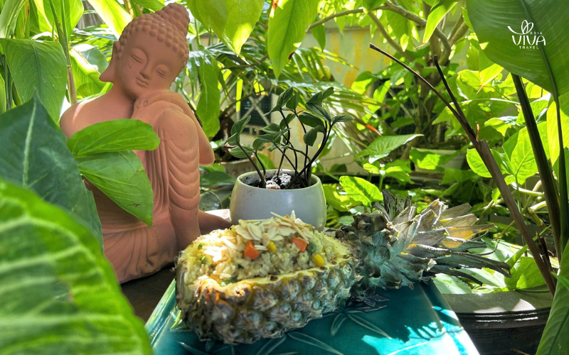 ANs – Vegetarian Cuisine