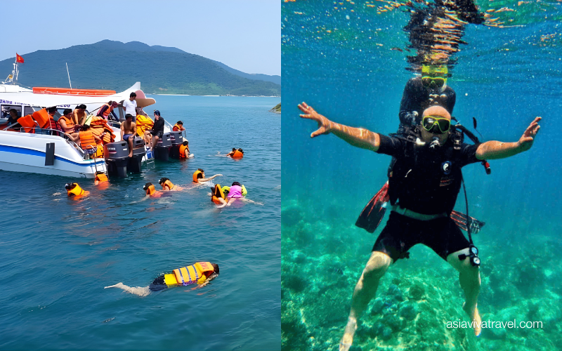 Tra coralli e stelle marine blu_ un mondo sommerso da scoprire