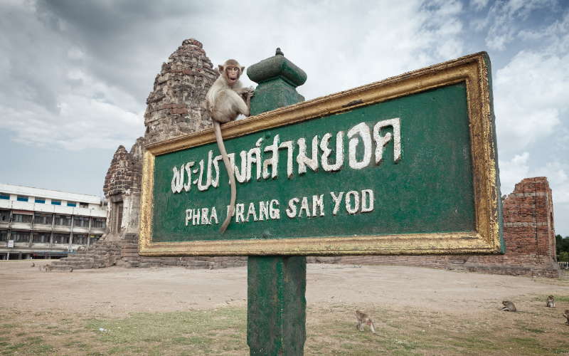 Temple des singes de Lopburi Phra Prang Sam Yod