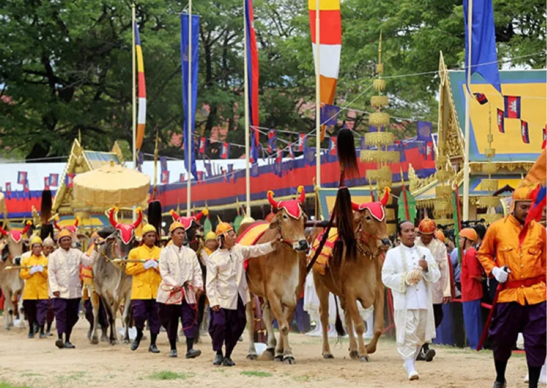 Royal Ploughing Ceremony (Bon Chroat Preah Nongkoal)