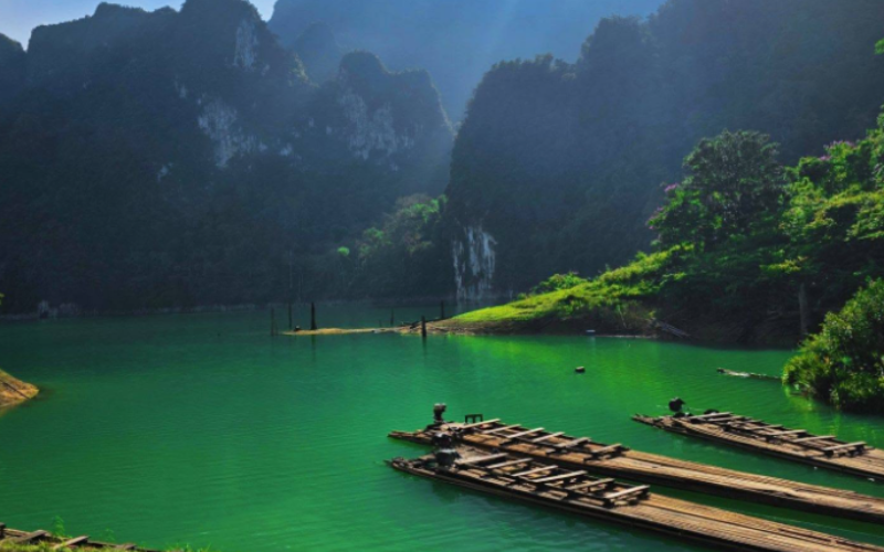 Climat tropical et végétation luxuriante dans le parc national de Khao Sok