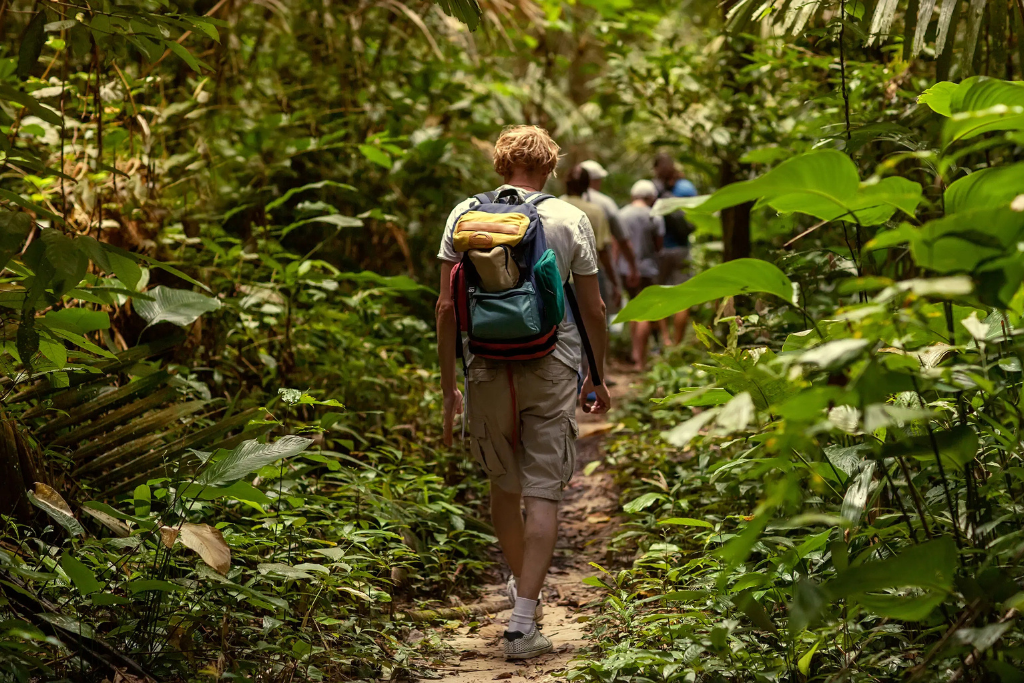 Trekking in the Jungle in Chiang Mai